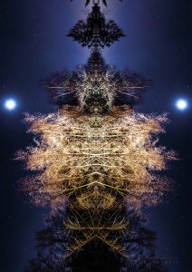 Rauhnächte-(c)friederikemuehleck2025